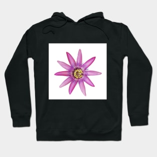 Passiflora Lavendar Lady Hoodie